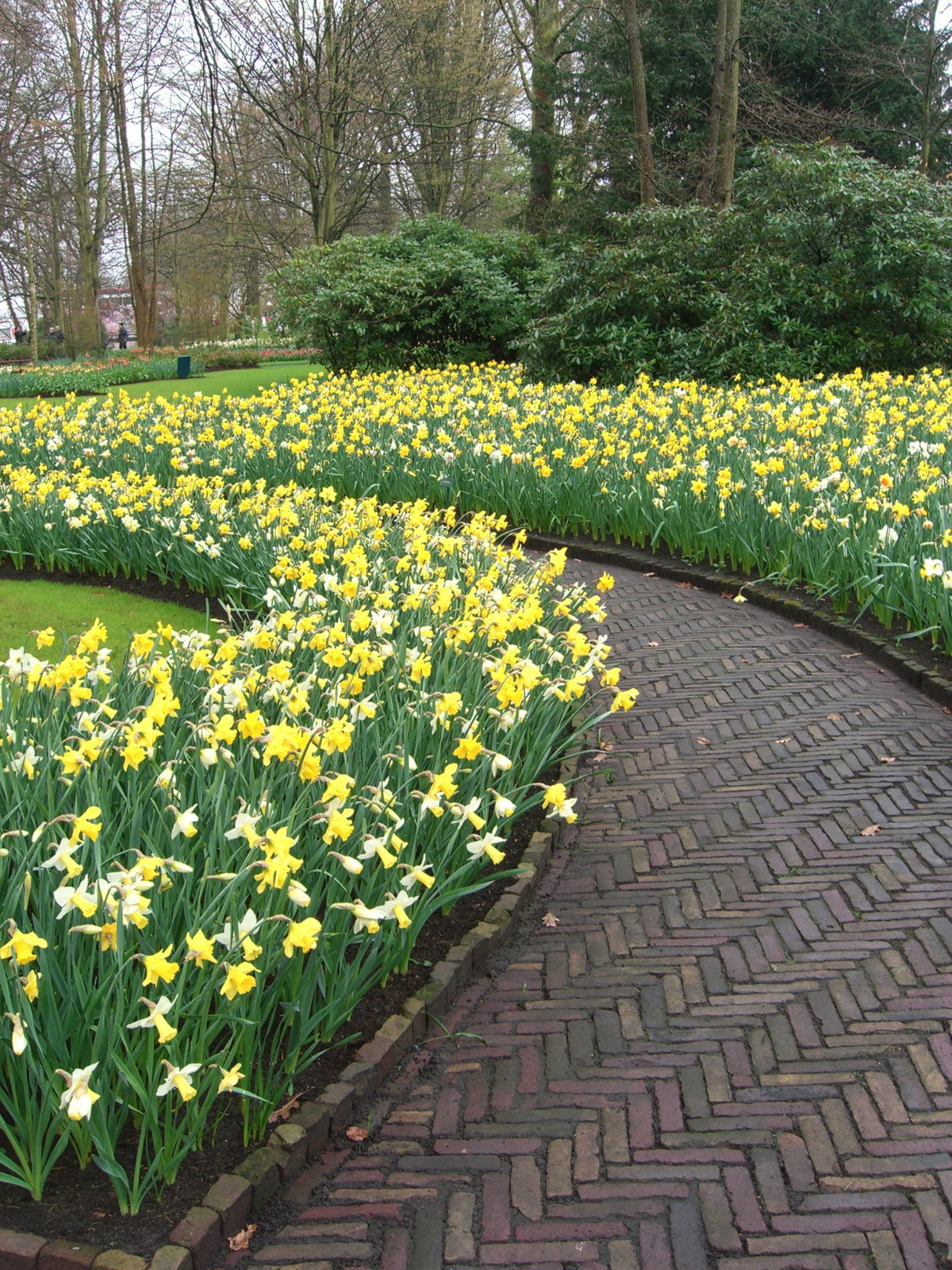 Netherlands Keukenhof